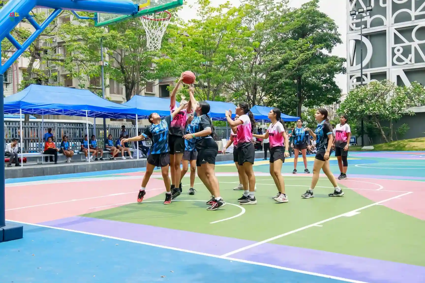 NOVUS 2026—where talent met passion!