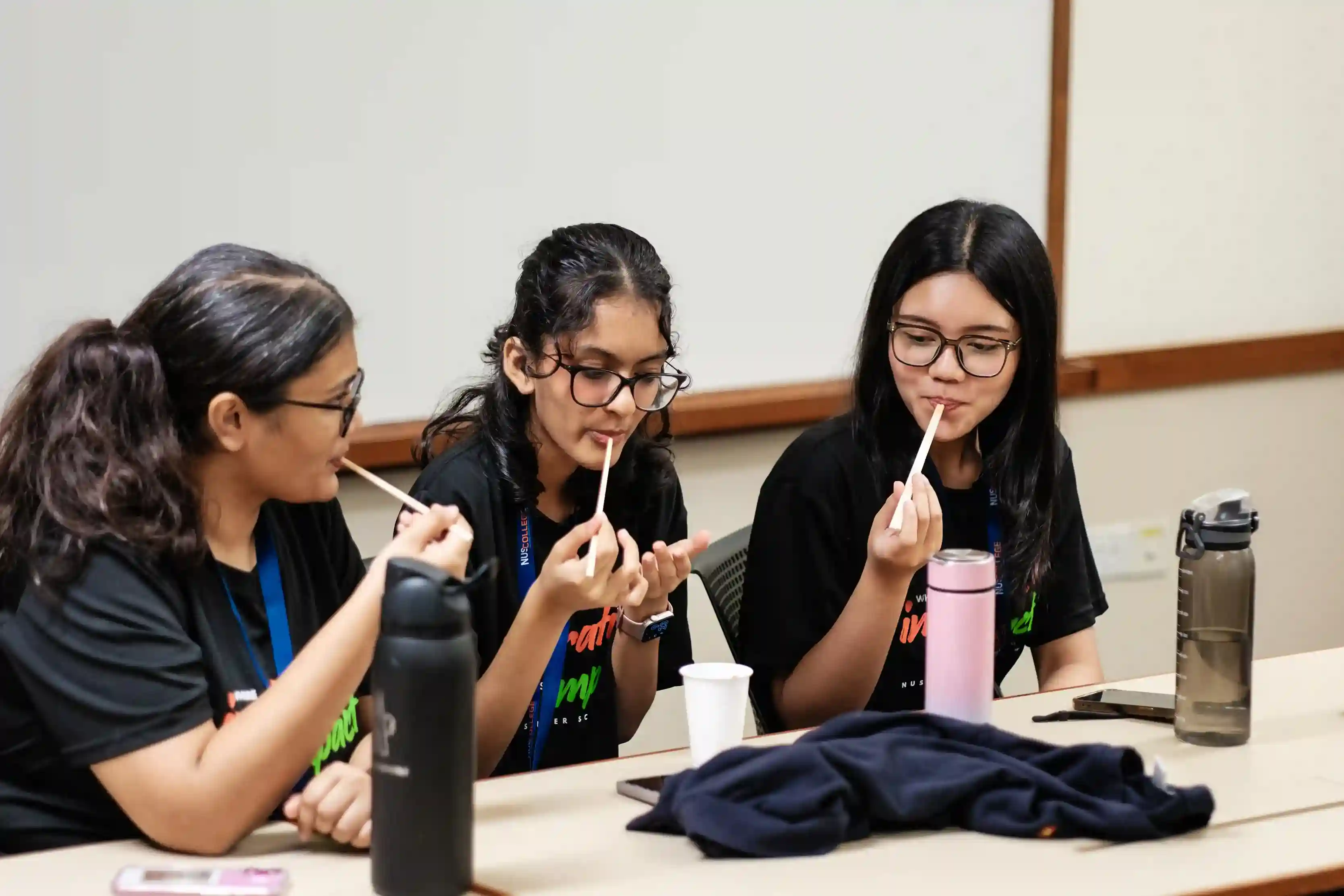 Global Learning Experience at NUS Summer School