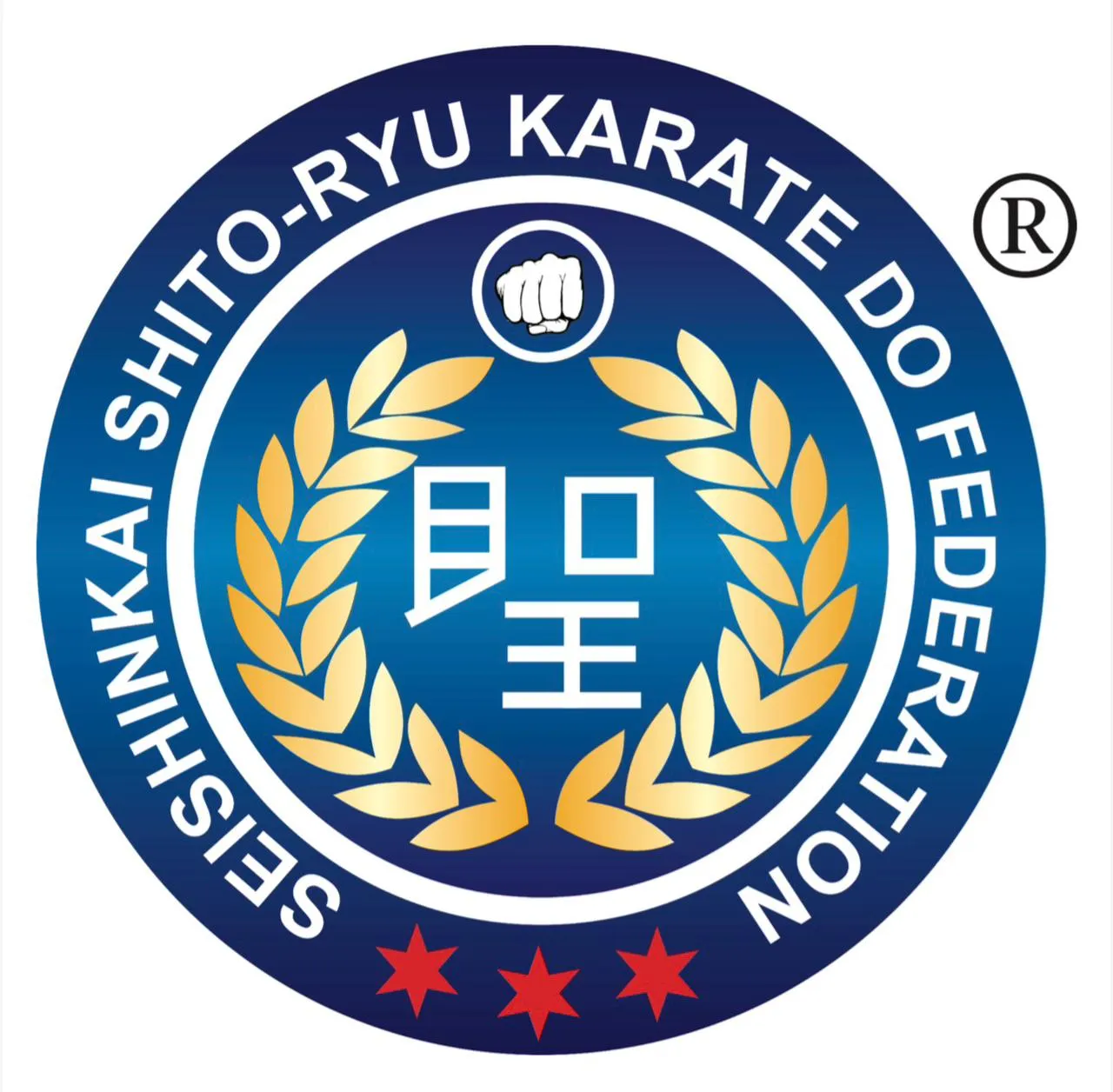 All India Seishinkai Shito Ryu Karate Do Federation image